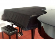 twin_piano.jpg